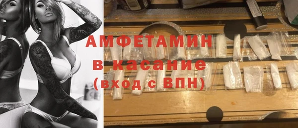 шишки Новодвинск