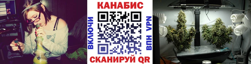 Купить закладки  Пятигорск  МАРИХУАНА конопля 